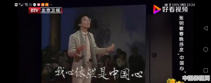 80年代的老歌，有哪些比较好听的，求推荐推荐 - 中国养殖网