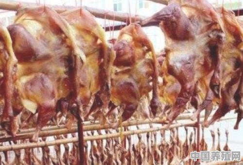 刚杀的新鲜鸡如何保存 - 中国养殖网