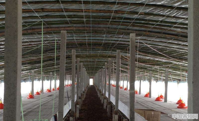 怎样建一个小型的智能土鸡鸡舍 - 中国养殖网