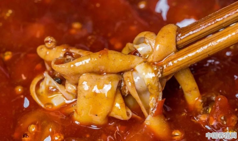 昆明有哪些最好吃的火锅店 - 中国养殖网