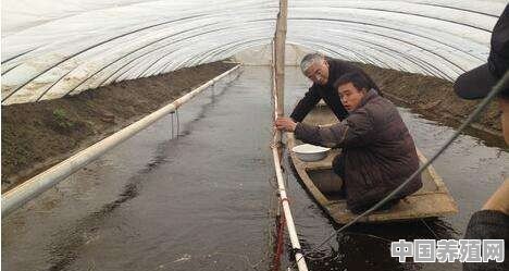 小龙虾一年可以出栏几次 - 中国养殖网