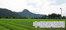在职人员，对农业种植和生态养殖很感兴趣，在哪里可以学到技术 - 中国养殖网