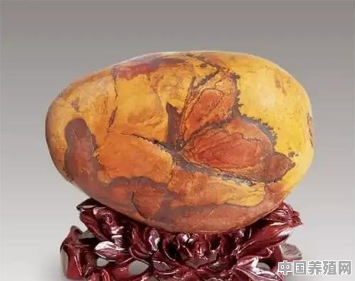 象形石和画面石哪种最受欢迎，价值更高 - 中国养殖网