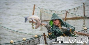 挖鱼塘应挖多深为好，适合养什么鱼 - 中国养殖网