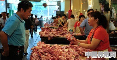 有朋友预测，端午节市场猪肉价格每市斤在十五元左右，你怎么看 - 中国养殖网
