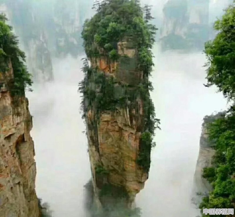 你见过最经典的奇石秀峰有哪些 - 中国养殖网