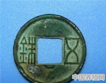 钱币，在古代被称为什么 - 中国养殖网