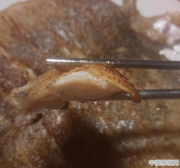 什么鱼的刺少且肉鲜嫩 - 中国养殖网