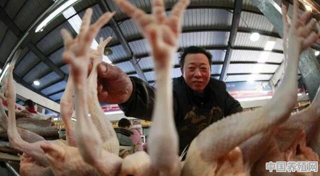 在农村林下养鸡，鸡舍建设有什么要求吗？怎么建好 - 中国养殖网
