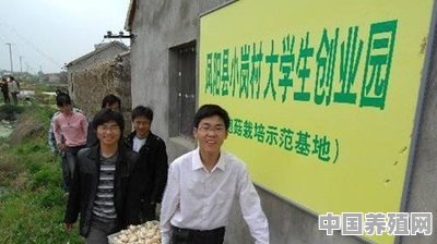 农村大学生回农村发展，你觉得怎么样 - 中国养殖网