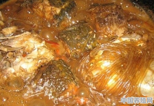 花莲鱼炖粉条家常做法 - 中国养殖网