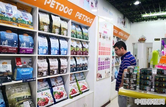 想创业，该怎么开宠物店 - 中国养殖网