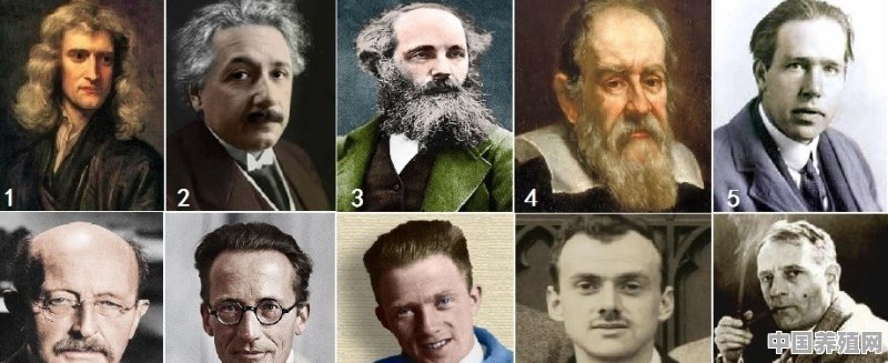 迄今为止，人类最伟大的10位物理学家分别是谁 - 中国养殖网