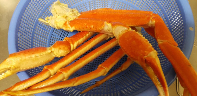 把螃蟹和虾,鱼养在一块要注意什么 - 中国养殖网